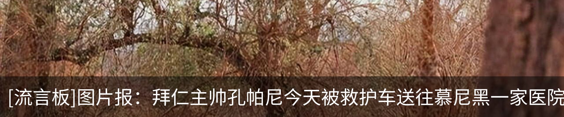 资讯动态